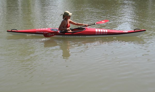 MSC Falco 430 II